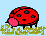Coloring page Ladybird 4a painted byshersdesti