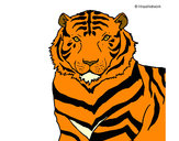 Coloring page Tiger painted bytiger19