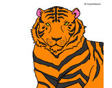 Coloring page Tiger painted byairman1025
