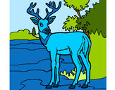 Coloring page Young deer painted bydela