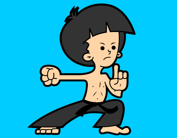 Kung fu fighter