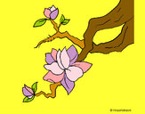 Coloring page Almond flower painted bySherry