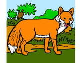Coloring page Fox painted bycoloring23