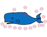 Coloring page Blue whale painted byJDWR