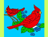 Coloring page Birds painted byBirdie