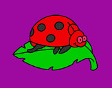 Coloring page Ladybird on a leaf painted byeden