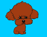 Coloring page Puppy poodle painted byeden