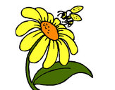Coloring page Daisy with bee painted byBecka