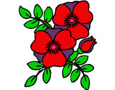 Coloring page Poppies painted byburbulitis
