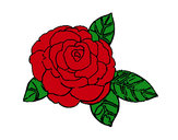 Coloring page Rose painted bybella