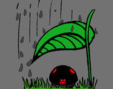 Coloring page Ladybird sheltering from rain painted bybella