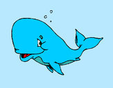Coloring page Bashful whale painted byBigricxi