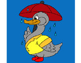 Coloring page Duck in the rain painted byBigricxi