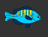 Coloring page Fish 4a painted byBigricxi