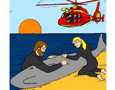 Coloring page Whale rescue painted byBigricxi