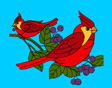 Coloring page Birds painted byShebear