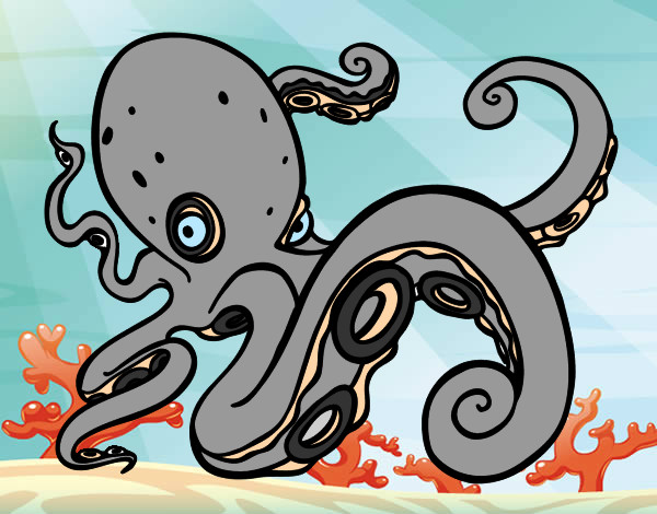 Angry Octopus