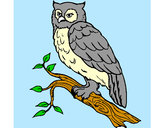 Coloring page Barn owl painted byBren