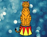 Coloring page Tiger of circus painted byShelbyGee