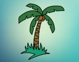 Coloring page Tropical palm tree painted bybenny