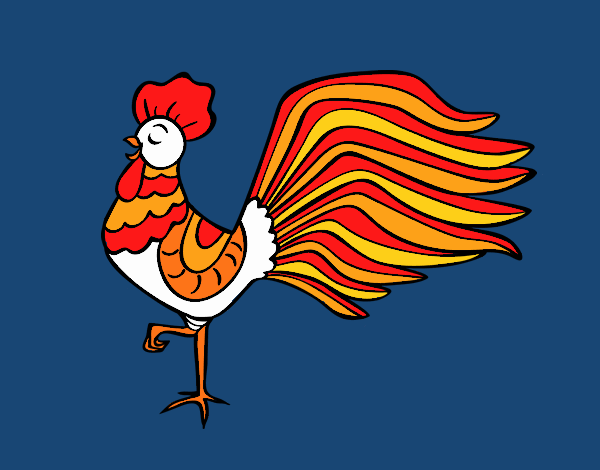 Wild rooster
