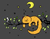 The cat and the moon
