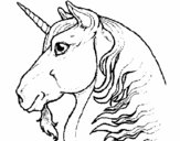 Unicorn head