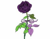 Coloring page A rose painted byJoni