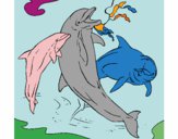 Coloring page Dolphins playing painted bySheridan