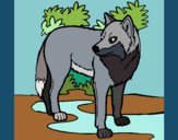 Coloring page Wolf painted byKroll1122