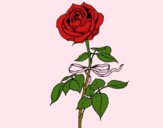 Coloring page A rose painted bysparker