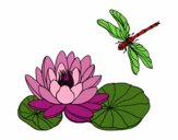 Coloring page Lotus flower painted bysparker