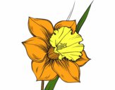 Coloring page Narcissus flower painted bysparker