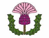 Coloring page Thistle painted bysparker