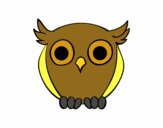 Night Owl 