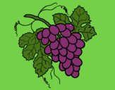 Coloring page Bunch of grapes painted byTheColor