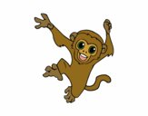 Coloring page Baby capuchin monkey painted byemma7200