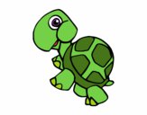 Coloring page Land turtle painted byLilypop