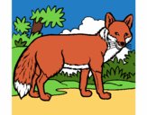 Coloring page Fox painted bypinkrose