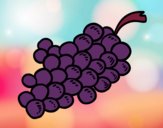 Coloring page Wine grapes painted byCharlotte