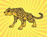 Coloring page A Cheetah painted byCharlotte