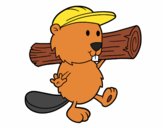 Beaver with cap