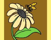 Daisy with bee