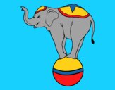 Coloring page Equilibrist elephant painted bymindella