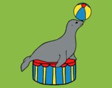 Coloring page Equilibrist seal painted byKArenLee