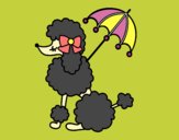 Coloring page Poodle with sunshade painted byKArenLee