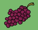 Coloring page Wine grapes painted byKArenLee