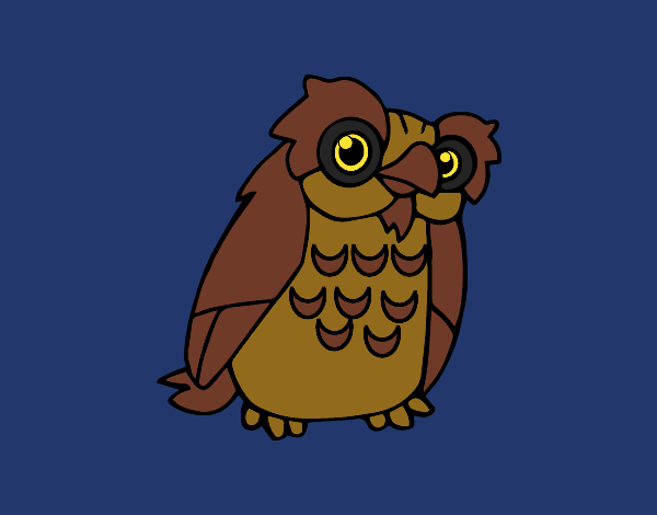 A owl