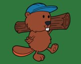 Coloring page Beaver with cap painted byKArenLee
