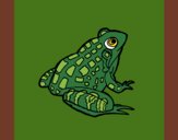 Coloring page Frog painted byKArenLee